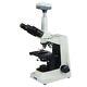 40x-1600x Darkfield Trinocular Compound Siedentopf Microscope+5mp Digital Camera