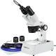 Amscope 10x-20x-30x-60x Stereo Microscope W Usb Digital Camera Top/bottom Lights