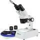 Amscope 20x-40x-80x Stereo Microscope With 1.3mp Usb Digital Camera
