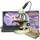 Amscope 40x-2500x Advanced Student Microscope +digital Camera +50 Specimens+book