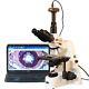Amscope 40x-2500x Infinity Plan Research Compound Microscope + 3mp Camera