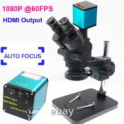 Black Simul-Focal 7X-45X Trinocular Industry Stereo Microscope Set Light Camera