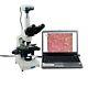 Led Compound Trinocular Siedentopf Microscope 40x-2000x With 5mp Digital Camera