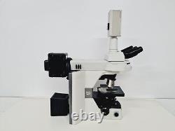 Nikon Eclipse 80i Microscope with Nikon C-SHG1 & Hamamatsu Digital Camera Lab