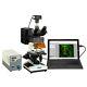 Omax 40x-1600x Trinocular Epi-fluorescence Lab Microscope 10mp Digital Camera