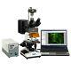 Omax 40x-2500x 14mp Digital Epi-fluorescence Trinocular Biological Microscope