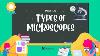 The Ultimate Guide To Microscopes Types Applications And More Medvital