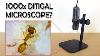 1000x Microscope Numérique Review Exemples D'images Gearbest