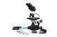 800x Microscope Numérique Binocular Lab Led Avec Appareil Photo Usb! Kit De Diapositives! Fine Mise Au Point