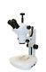 8x50x Grand Champ Stéréo Zoom Microscope Trinoculaire 16 Mp Appareil Photo Numérique