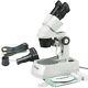 Amscope Se305-az-m 10x-20x-30x-60x Microscope Stéréo Avec Caméra Numérique 1.3mp
