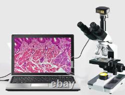 Appareil photo de microscope biologique de l'industrie C-Mount USB 3.0 haute vitesse 8.3M 4K 70FPS