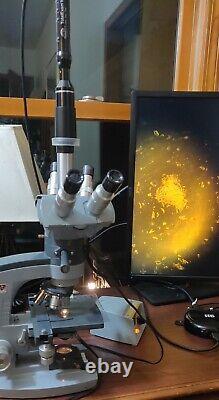 Globalmed Totalexam 1080 Hd Caméra Numérique Usb Pour Microscope & Telemedicene