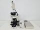 Microscope Nikon Eclipse 80i Avec Nikon C-shg1 & Caméra Numérique Hamamatsu Lab