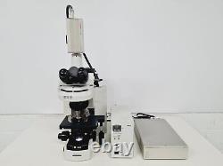 Microscope Nikon Eclipse 80i avec caméra numérique Nikon C-SHG1 et Hamamatsu