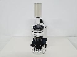 Microscope Nikon Eclipse 80i avec caméra numérique Nikon C-SHG1 et Hamamatsu