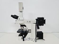 Microscope Nikon Eclipse 80i avec caméra numérique Nikon C-SHG1 et Hamamatsu