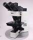 Olympus Bx60 Professionnel Microscope Metallurgical Du Japon